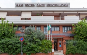 Hotel Monteolivos Sevilla